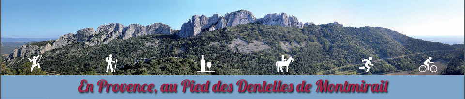 dentelles sport 960