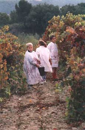 vendanges.jpg