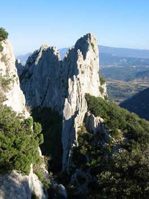 dentelles.jpg